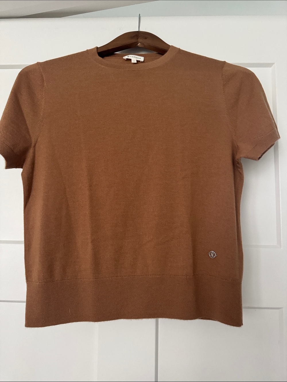 Lily Silk cashmere Crewneck Short-Sleeve Sweater in Caramel Brown